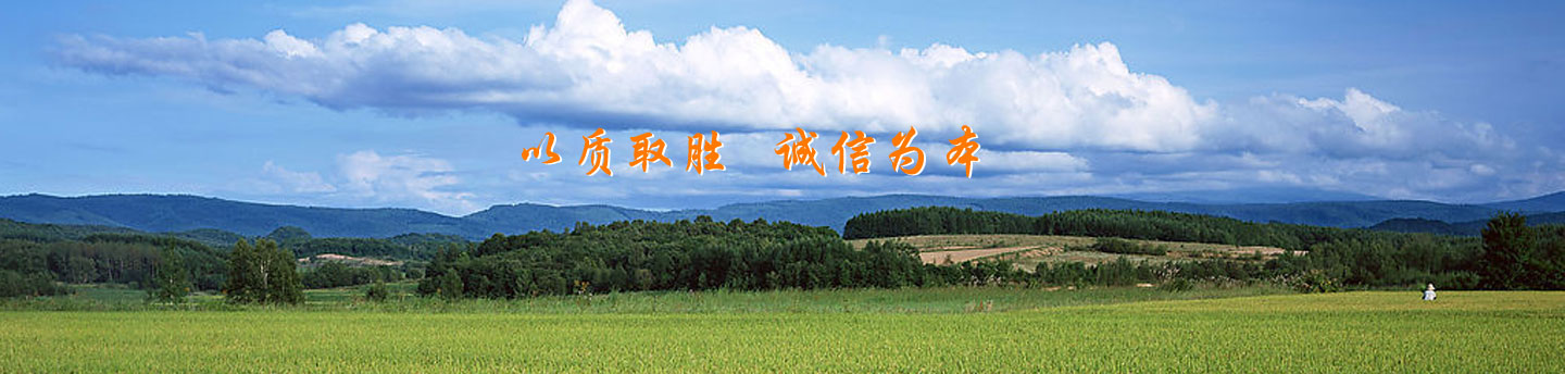 ued真人